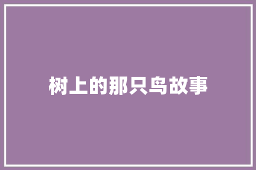 杏坛SEO入门指南,轻松掌握搜索引擎优化方法