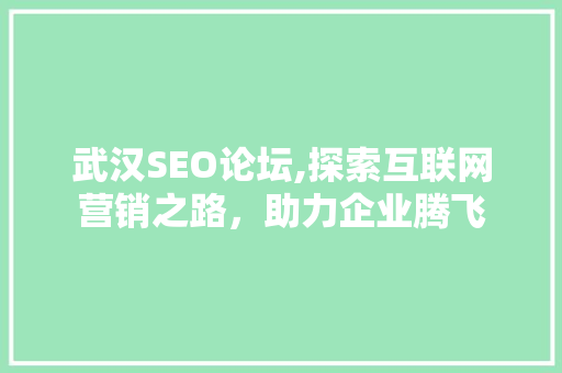 武汉SEO论坛,探索互联网营销之路，助力企业腾飞