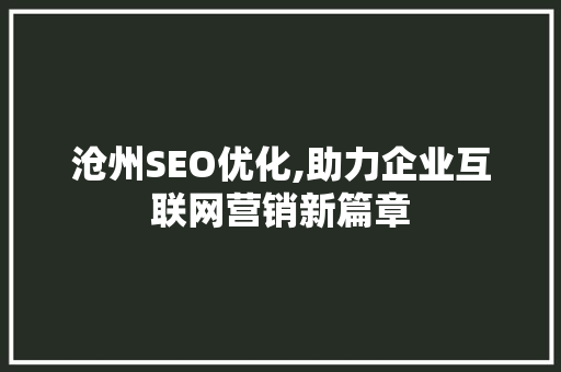 沧州SEO优化,助力企业互联网营销新篇章