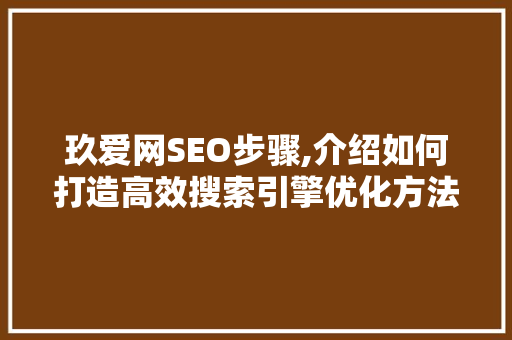 玖爱网SEO步骤,介绍如何打造高效搜索引擎优化方法  第1张