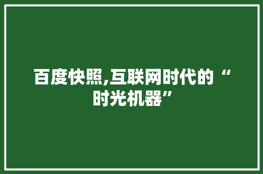 百度快照,互联网时代的“时光机器”