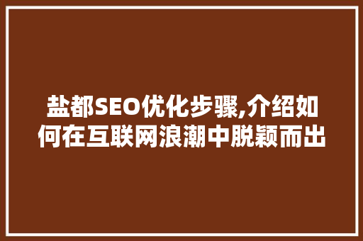 盐都SEO优化步骤,介绍如何在互联网浪潮中脱颖而出
