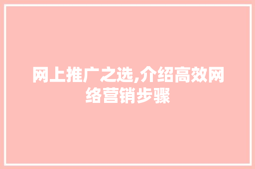 网上推广之选,介绍高效网络营销步骤