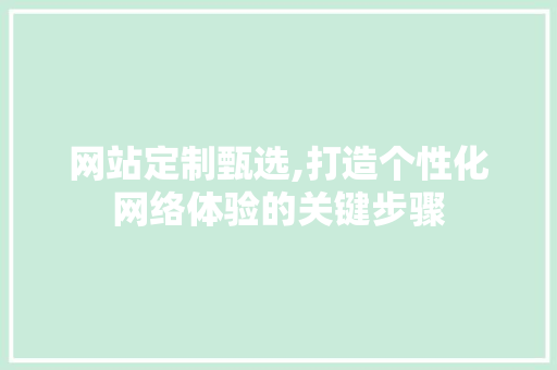 网站定制甄选,打造个性化网络体验的关键步骤