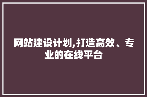 网站建设计划,打造高效、专业的在线平台