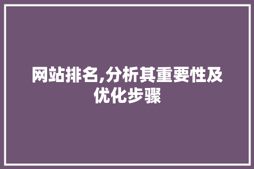 网站排名,分析其重要性及优化步骤
