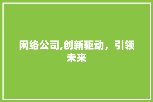 网络公司,创新驱动，引领未来