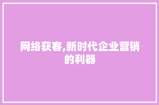 网络获客,新时代企业营销的利器