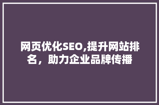 网页优化SEO,提升网站排名，助力企业品牌传播