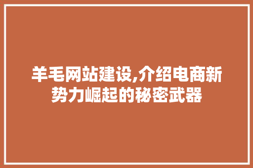 羊毛网站建设,介绍电商新势力崛起的秘密武器