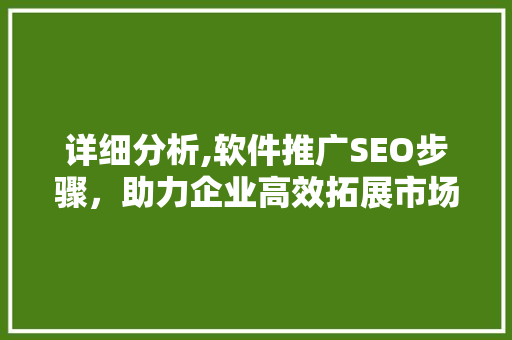详细分析,软件推广SEO步骤，助力企业高效拓展市场