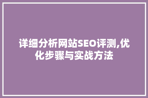详细分析网站SEO评测,优化步骤与实战方法