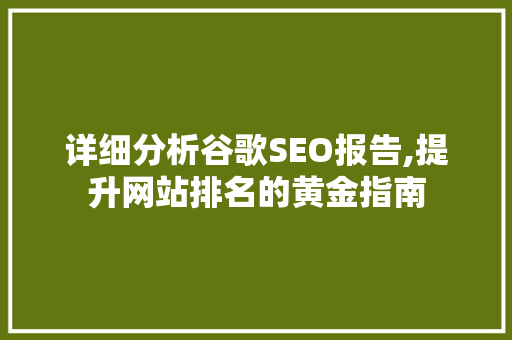 详细分析谷歌SEO报告,提升网站排名的黄金指南