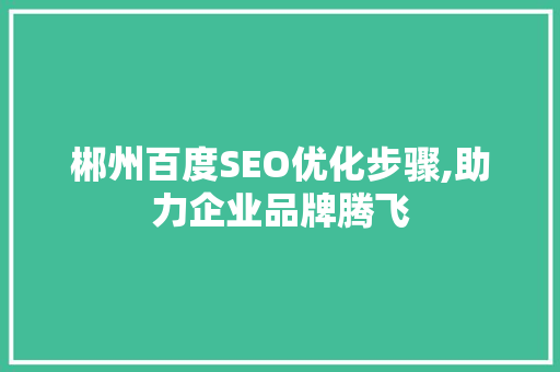郴州百度SEO优化步骤,助力企业品牌腾飞