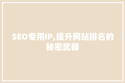 SEO专用IP,提升网站排名的秘密武器
