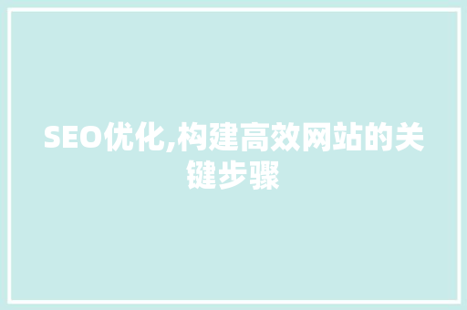 SEO优化,构建高效网站的关键步骤