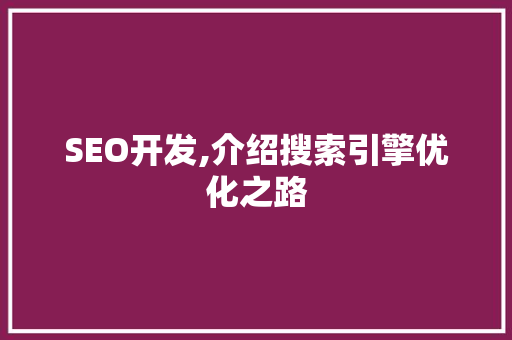 SEO开发,介绍搜索引擎优化之路