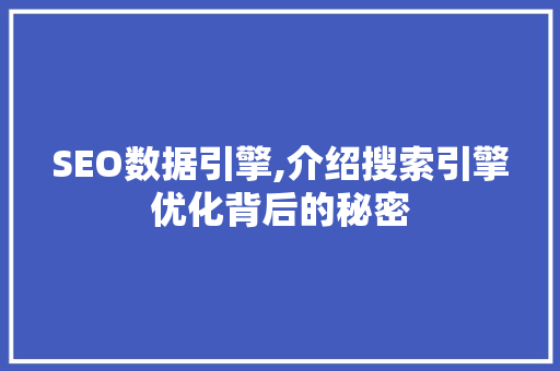 SEO数据引擎,介绍搜索引擎优化背后的秘密