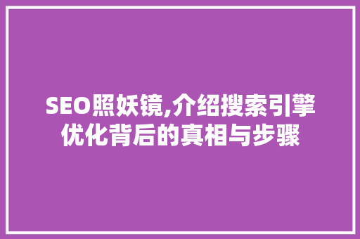 SEO照妖镜,介绍搜索引擎优化背后的真相与步骤