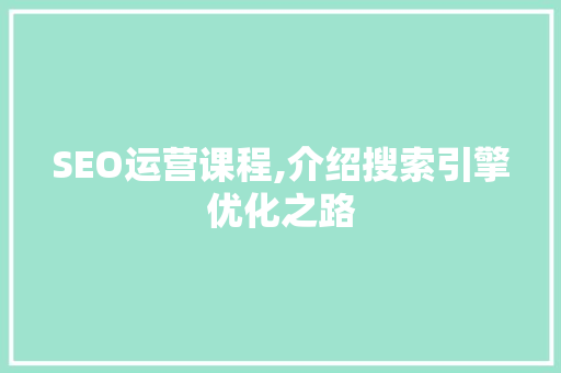 SEO运营课程,介绍搜索引擎优化之路