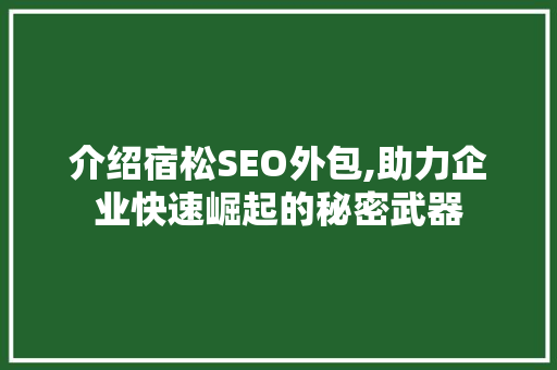 介绍宿松SEO外包,助力企业快速崛起的秘密武器