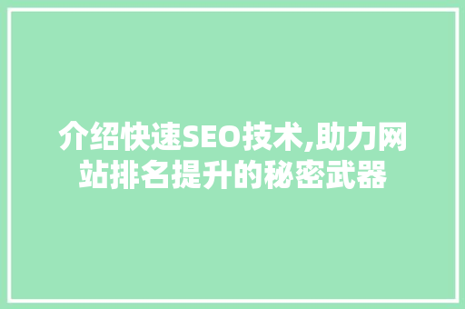 介绍快速SEO技术,助力网站排名提升的秘密武器