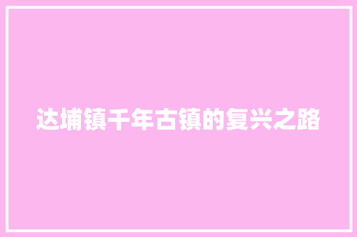 达埔镇千年古镇的复兴之路