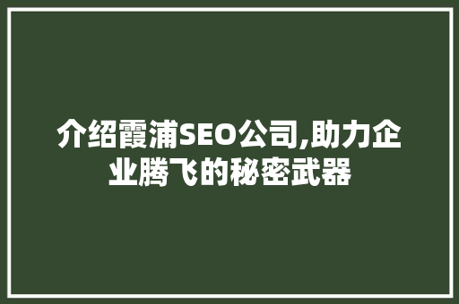 介绍霞浦SEO公司,助力企业腾飞的秘密武器