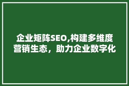 企业矩阵SEO,构建多维度营销生态，助力企业数字化转型