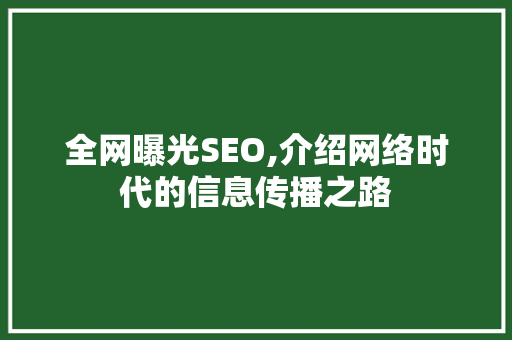 全网曝光SEO,介绍网络时代的信息传播之路