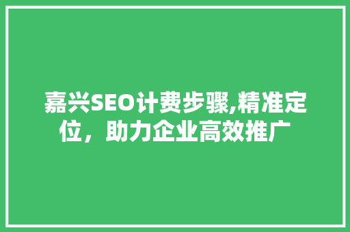 嘉兴SEO计费步骤,精准定位，助力企业高效推广