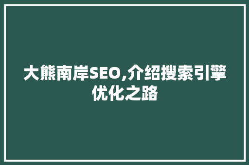 大熊南岸SEO,介绍搜索引擎优化之路