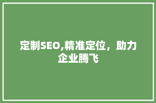 定制SEO,精准定位，助力企业腾飞