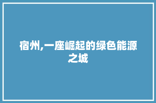宿州,一座崛起的绿色能源之城