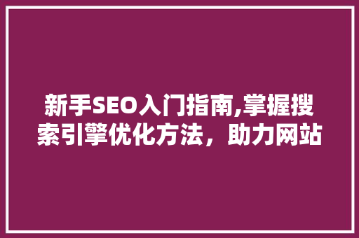 新手SEO入门指南,掌握搜索引擎优化方法，助力网站流量提升