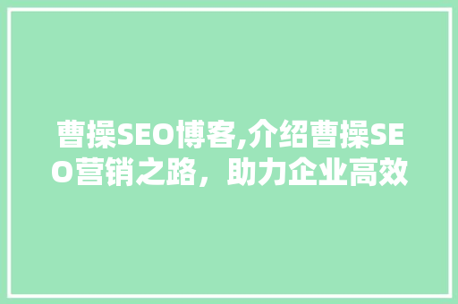 曹操SEO博客,介绍曹操SEO营销之路，助力企业高效推广