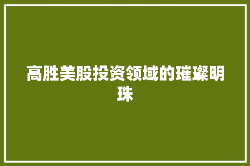 高胜美股投资领域的璀璨明珠