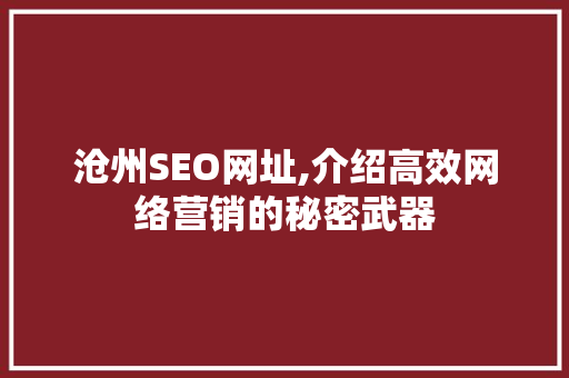 沧州SEO网址,介绍高效网络营销的秘密武器