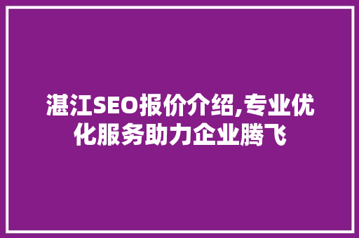 湛江SEO报价介绍,专业优化服务助力企业腾飞