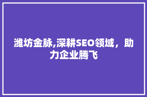 潍坊金脉,深耕SEO领域，助力企业腾飞