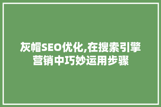 灰帽SEO优化,在搜索引擎营销中巧妙运用步骤
