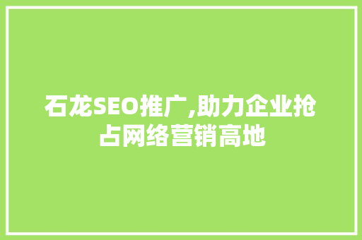 石龙SEO推广,助力企业抢占网络营销高地