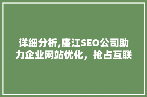 详细分析,廉江SEO公司助力企业网站优化，抢占互联网市场先机