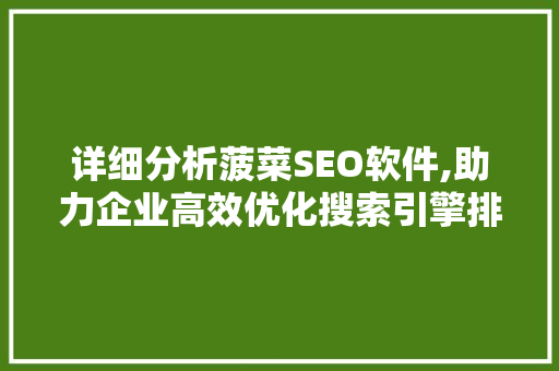 详细分析菠菜SEO软件,助力企业高效优化搜索引擎排名