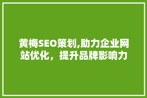 黄梅SEO策划,助力企业网站优化，提升品牌影响力  第1张