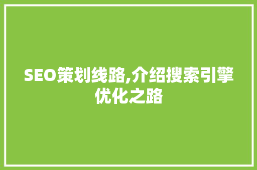 SEO策划线路,介绍搜索引擎优化之路