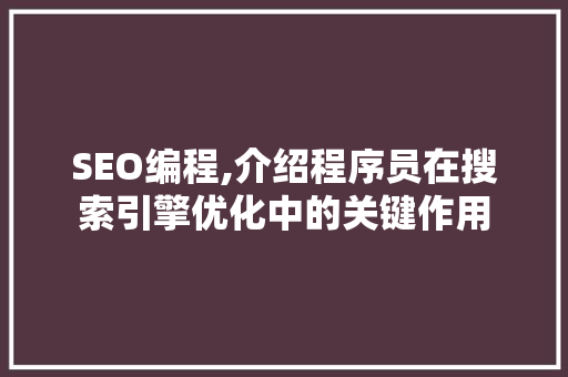 SEO编程,介绍程序员在搜索引擎优化中的关键作用