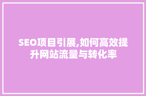 SEO项目引展,如何高效提升网站流量与转化率