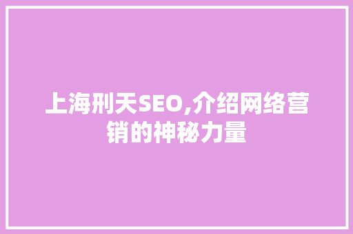 上海刑天SEO,介绍网络营销的神秘力量