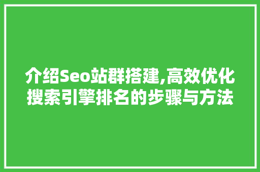 介绍Seo站群搭建,高效优化搜索引擎排名的步骤与方法